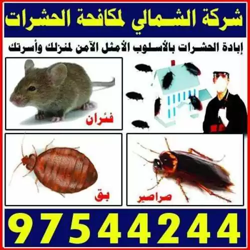 شركة الشمالي لمكافحة الحشرات : 97544244